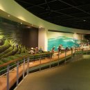 한국차박물관 이미지