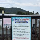 그린목욕탕 | 제주 서쪽 애견동반 캠핑장 추천 에코그린캠핑장 내돈내산 후기