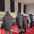 시민항공여행 이미지
