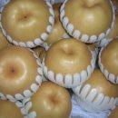 한길농원 이미지