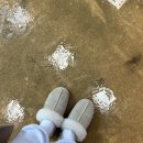 돼지수산 | '노량진수산시장'에서 겨울철 필수 돼지방어 후기(청양수산, 하늘채, 위치, 주차장)