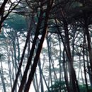 태안 인쇄 이미지