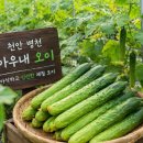 배들가축 | SBK 근처 병천 아우내장터, 유관순 생가 직접 둘러본 후기(지역 이야기+김치 아이디어)