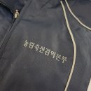 은전사