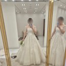 티아나헤어 | W1. 웨스턴 팰리스 홀패키지 본식 드레스 셀렉 후기(추가금)