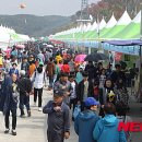 횡성한우축제장(섬강둔치) 이미지