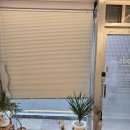 주정차-10 | 동대신동 오어스왁싱에서 받은 남자 브라질리언 왁싱 관리와 통증 후기