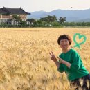 보리은백한의원 이미지