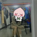 구구제제 이미지