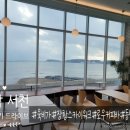 여행] 충남 서천 가볼 만한 곳 추천 육비가 스카이워크 로우커피바 마량리동백나무숲 김가네서해짬뽕