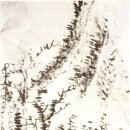 산수화 Daum카페