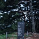 함정리마을쉼터 방범용CCTV | 아차산 용마산 등산 코스 수도권 초보 연계 산행 추천