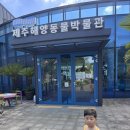 주식회사 제주해양과학관 | 🌊 제주해양동물박물관 방문후기