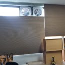 하단동175 이미지