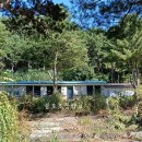 상천초 물로분교장 이미지