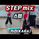 Step Mix - 카라 이미지