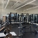 바디리핏 이미지