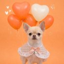 그루멍(groomung) 이미지