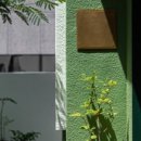 잎테(IPTAE) 이미지