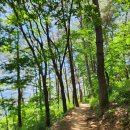 안창약수터 이미지