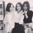 다솜 이미지