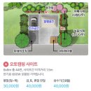 A38 | 율동공원 캠핑장(오토캠핑 A38) 이용 후기