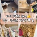 우물 | 일산 식사동 아이와 가볼만한 곳｜찬우물아기동물원 후기