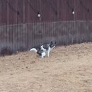 모모카네 펜션 이미지