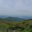 무주덕유산리조트산림욕장 네이버블로그