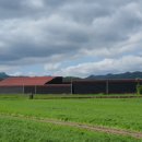 작천면사무소 이미지