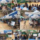 조도고등학교 이미지