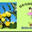 홍일농장 이미지