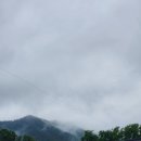 금성만화카페