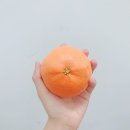 김구농장 이미지