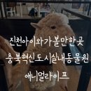 애니멀 라이프 | [진천아이와가볼만한곳] 충북혁신도시 실내동물원 애니멀라이프 방문 후기