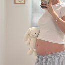 비타민치과기공소 | 마미앤대디철분, 셀티아이맘유산균, 임산부잇몸치과치료, 임당검사 높은 수치, 대구앞산, 호어모아...