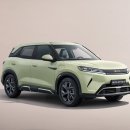 미스터샤크유도짐 | 2천만 원대 전기 SUV? BYD 아토2 국내 출시 전 미리보기