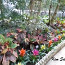 사슴방목장 이미지