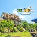 강가의 추억 | 단양패러글라이딩펜션 l 충북 단양여행 계곡 있는 펜션 강가의 아침 후기