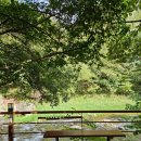 더준짬뽕 | 영월 나조스트 캠핑장 J2 사이트 (feat. 역시 나조스트)