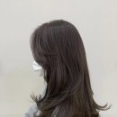 헤어드 제이