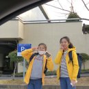 제주평화음악회 이미지