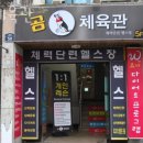 곰체육관 이미지