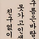 도시네트워크 행정사 이미지