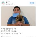 큐티댕냥 하남 본점 강아지 고양이 분양 이미지