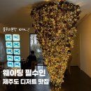 선태권도 | 마마롱 제주 평일 웨이팅 후기 디저트 이미 다 나감