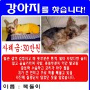 서울길동초등학교 이미지