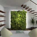 행운셀프 이미지