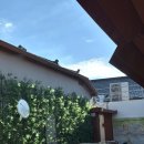 명성숯불갈비 이미지