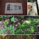 선의농원 이미지